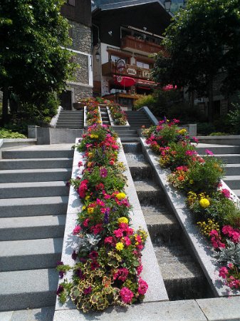 WP_004286