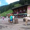 WP_004130