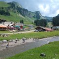 WP_004153