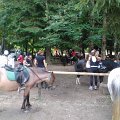 WP_004196
