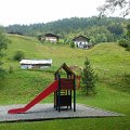 WP_004207