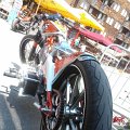 WP_004265