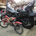 WP_004298