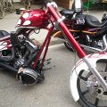 WP_004299