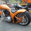 WP_004303
