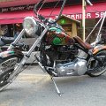 WP_004308