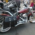 WP_004312