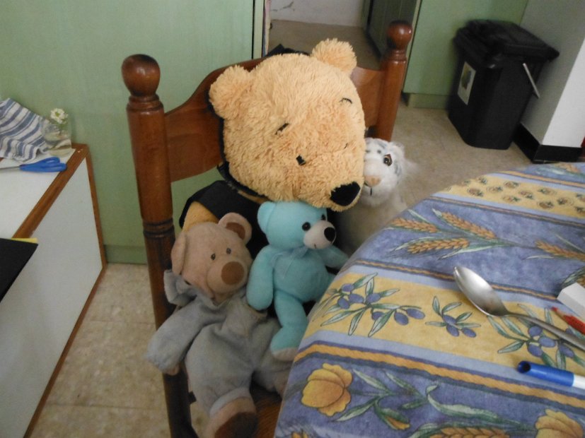 DSCF0940