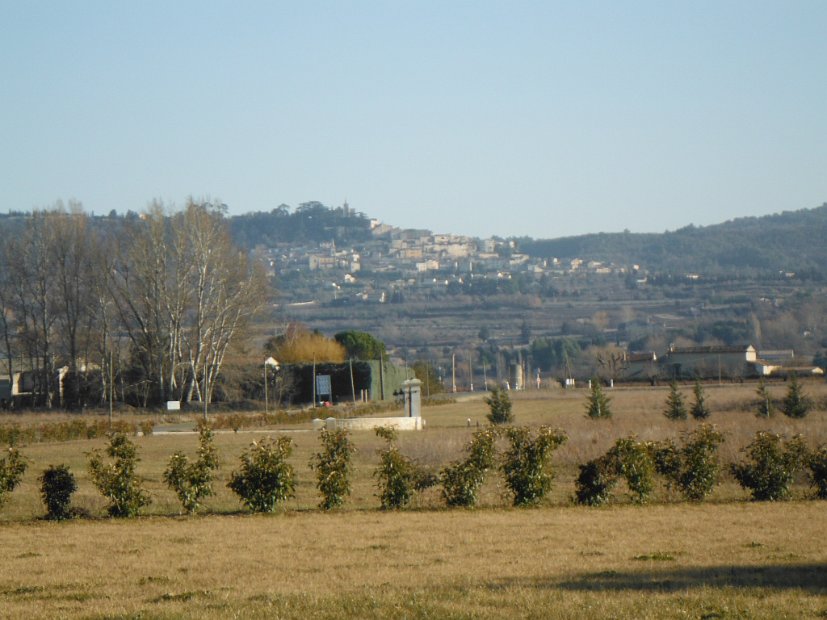 DSCF0954
