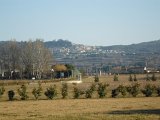 DSCF0954.JPG