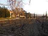 DSCF0985.JPG