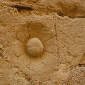 and a flower carved into the exterior wall.