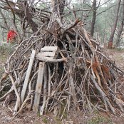 We find a hut; have cub scouts been here?