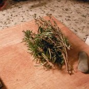 Local herbs collected on our walk; rosemary and oregano for  the soup.