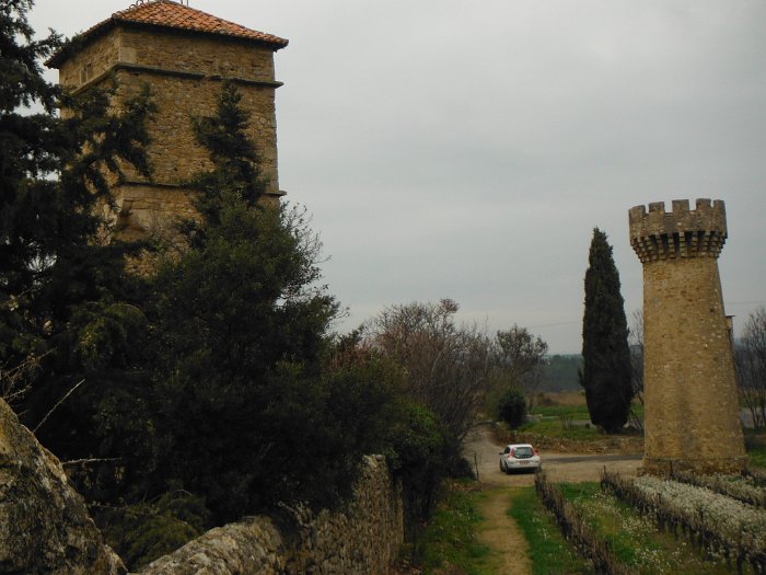DSCF1492