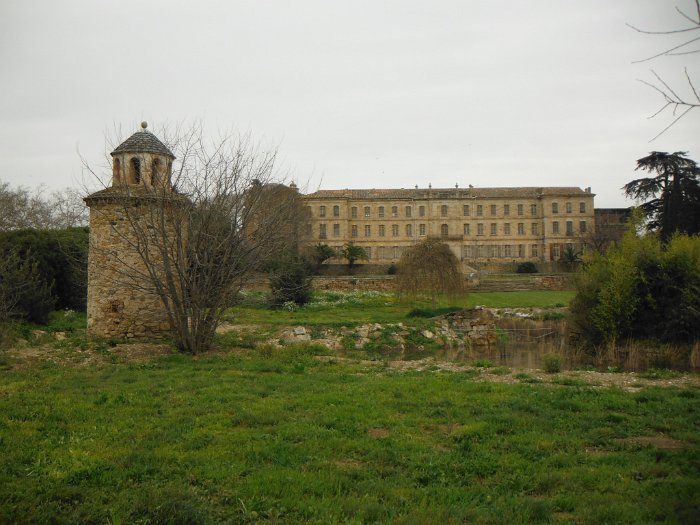 DSCF1501