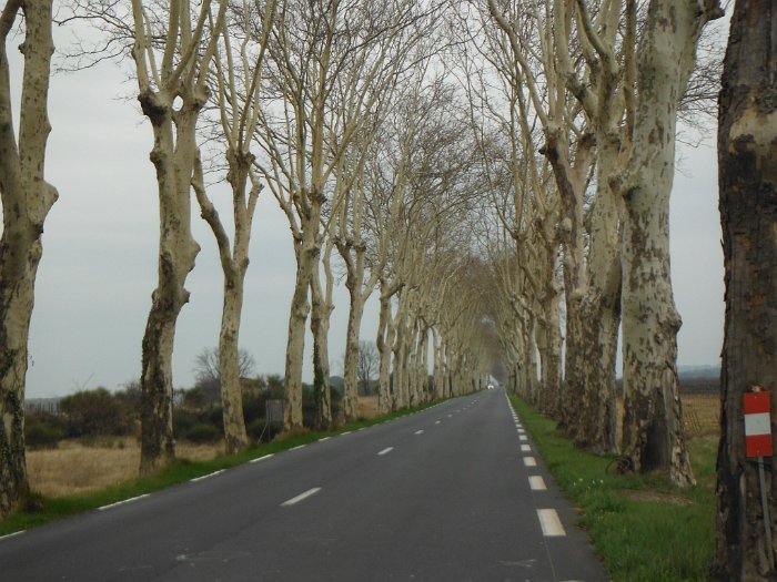 DSCF1506