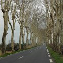 DSCF1506