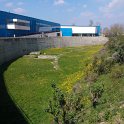 WP_000455