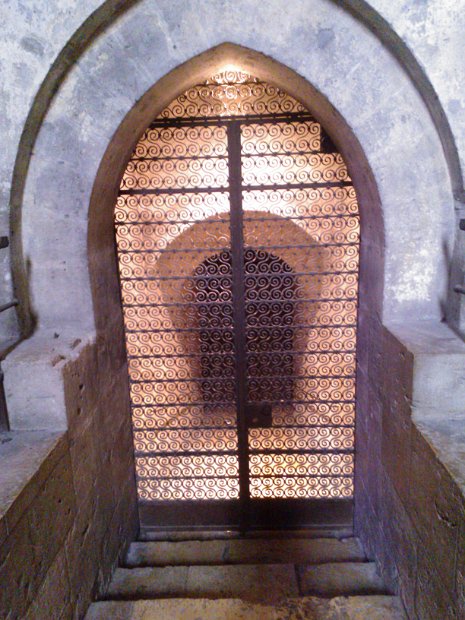 WP_003690