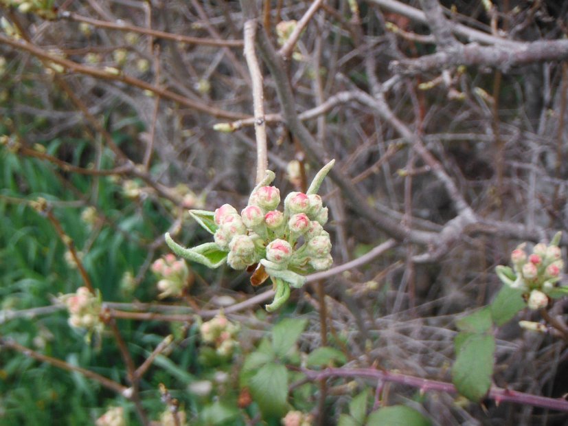 DSCF1496