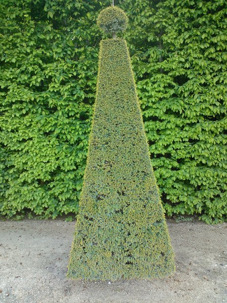 WP_001687