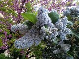 WP_000972.jpg
