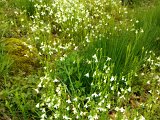 WP_001076.jpg