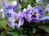 WP_001094.jpg