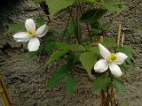 WP_001095.jpg