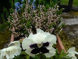 WP_001099.jpg
