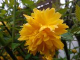 WP_001100.jpg