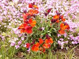 WP_001103.jpg