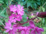 WP_003522.jpg