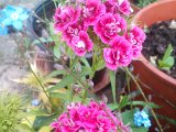 WP_003523.jpg