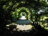 WP_003851.jpg