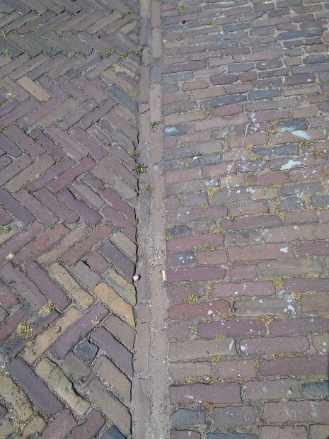 WP_004706