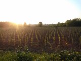 WP_000728.jpg
