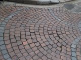 WP_002194.jpg