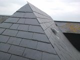 WP_002720.jpg
