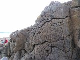 WP_003566.jpg