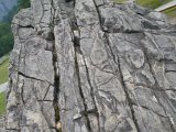 WP_004114.jpg