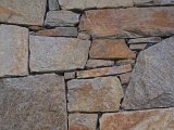 WP_004214.jpg