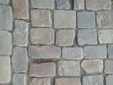 WP_004824.jpg