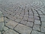 WP_004825.jpg