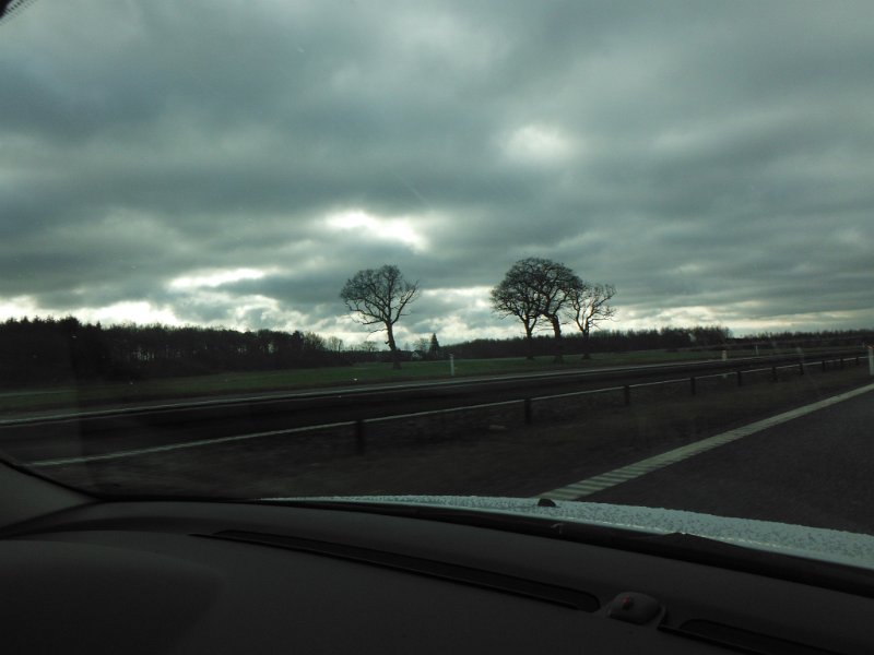 DSCF0617