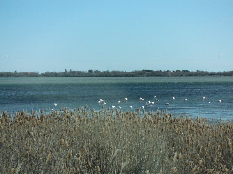 DSCF0771