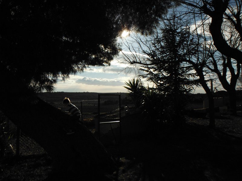 DSCF0803