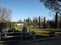 DSCF0745