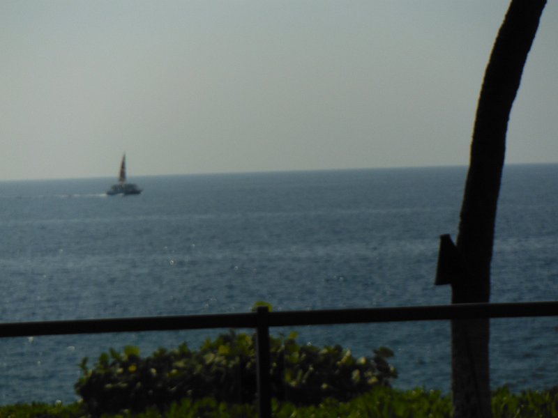 DSCF0515